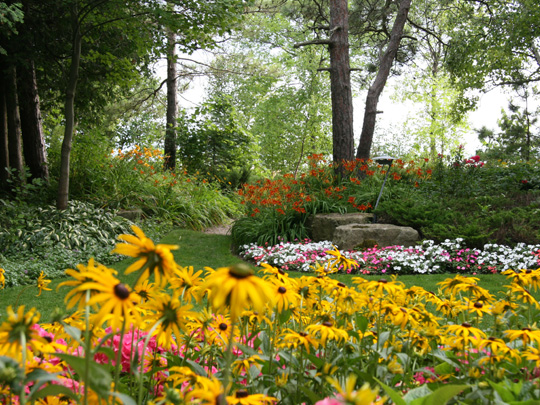 Green Ventures Landscape Care Limited - Photo 2