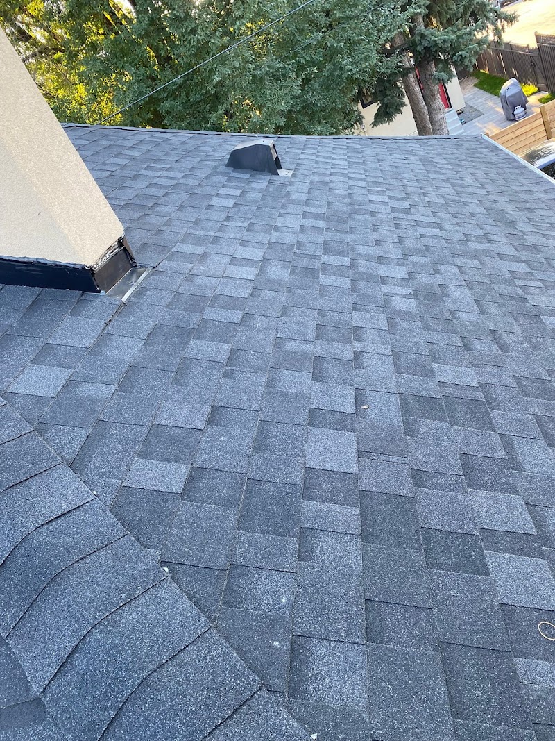 Ace Roofing Services Inc