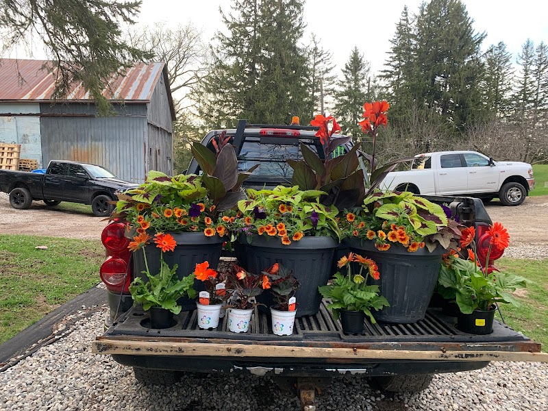 Brothers Landscaping and Property Maint. - Photo 4