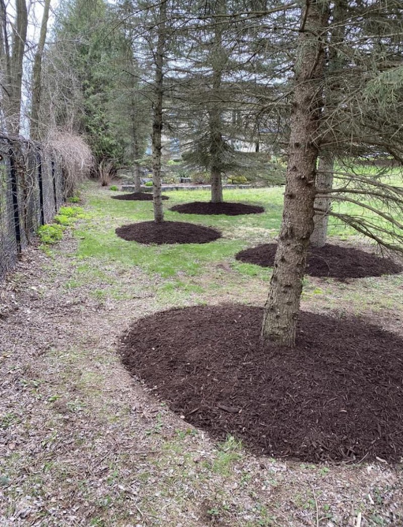 Brothers Landscaping and Property Maint. - Photo 5