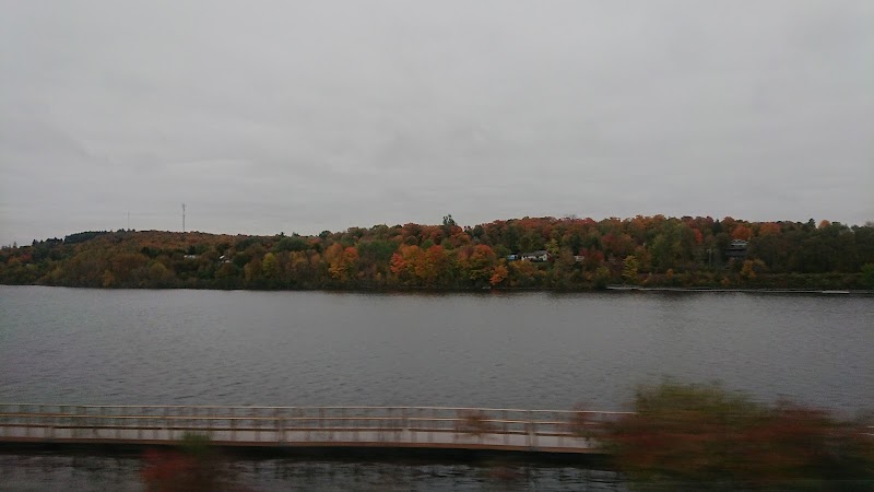 Lake Electrical & Plumbing Contractors - Photo 1