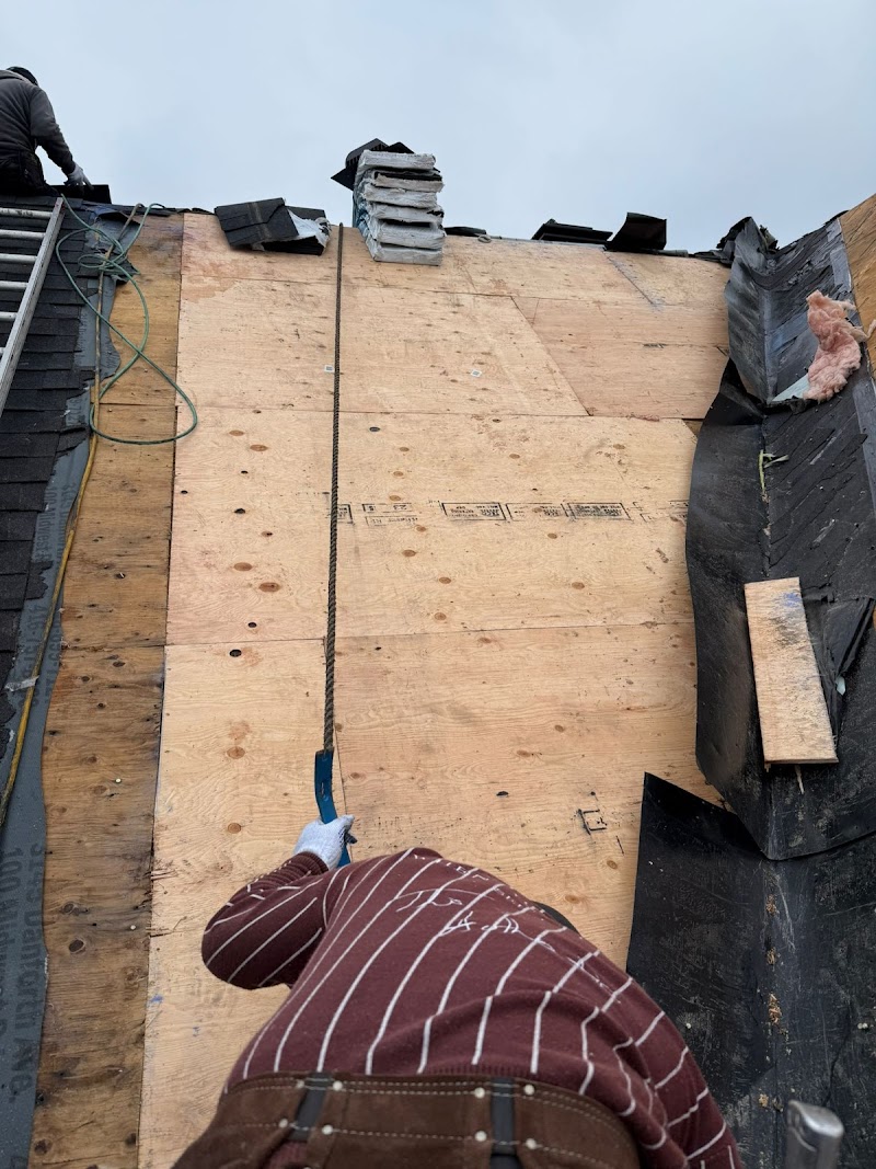 Best Roofer & Renovation