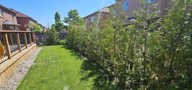 S.N.G Landscaping - Photo 5