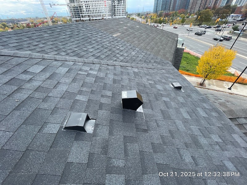 Real Blue Roofing Services Inc. - Photo 4
