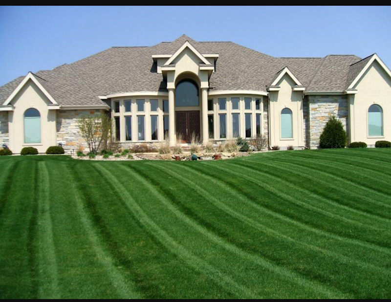 Maple Leaf Lawn Maintenance - Photo 4