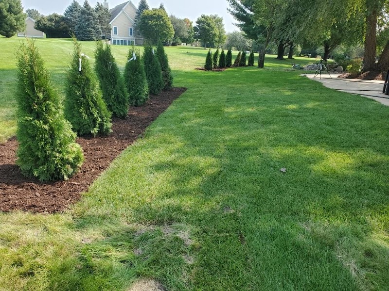 Bare Roots Landscaping - Photo 5