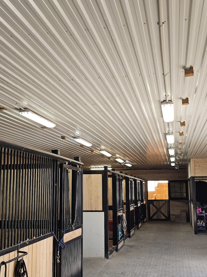 Xclusive Electric - Photo 4