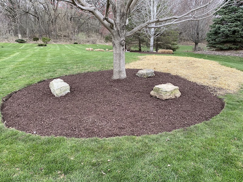 Trimlify Lawn Care Services - Photo 5