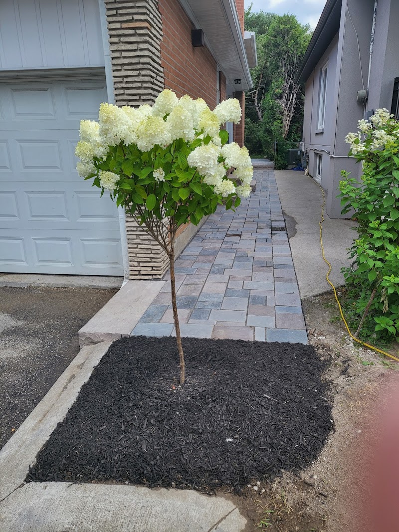 Green Masters Landscaping Inc - Photo 5