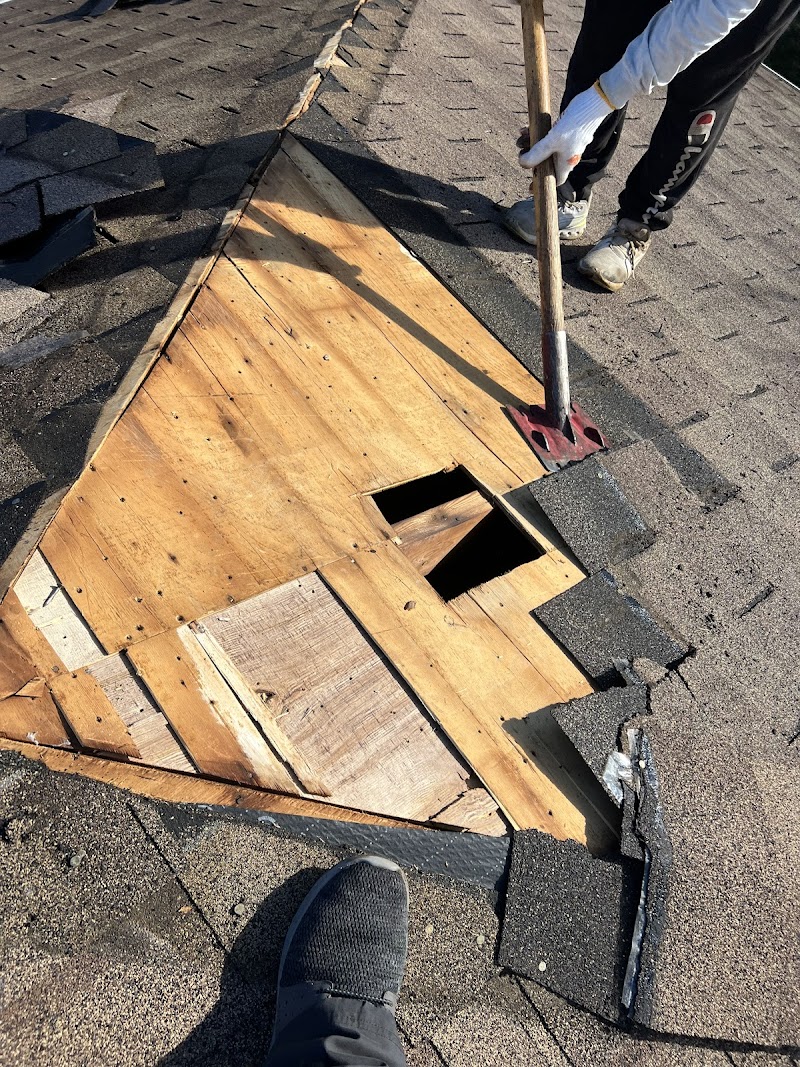 The Roof Technician Toronto - Roof Repairs - Flat Roofing - Skylights - Photo 5