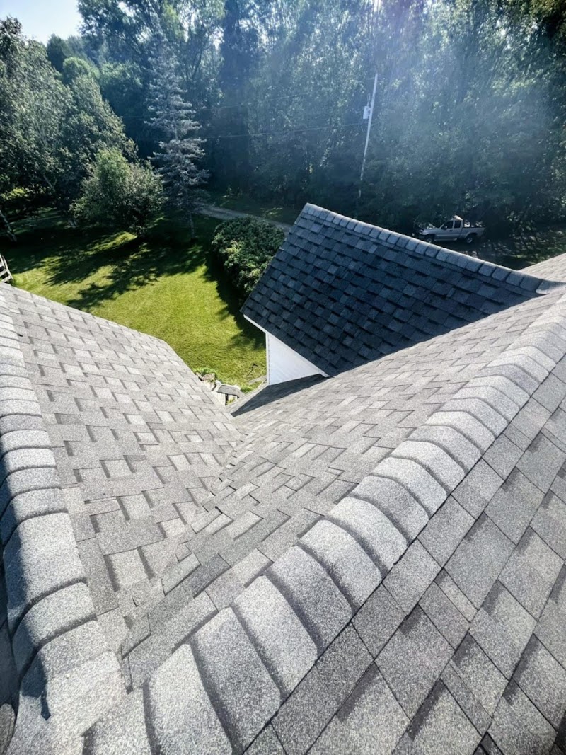 Elsa Roofing - Photo 4