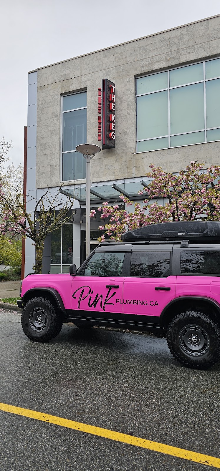 Pink Plumbing.ca - Photo 2